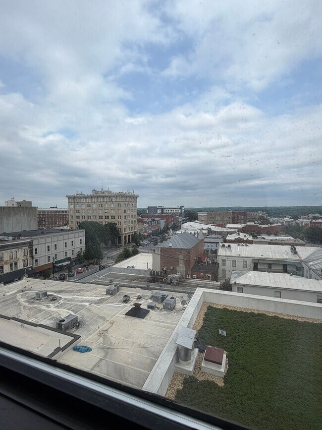 Building Photo - BEST VIEWS IN DOWNTOWN