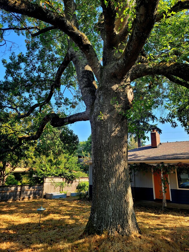 Building Photo - 1110 SE 113th Ave