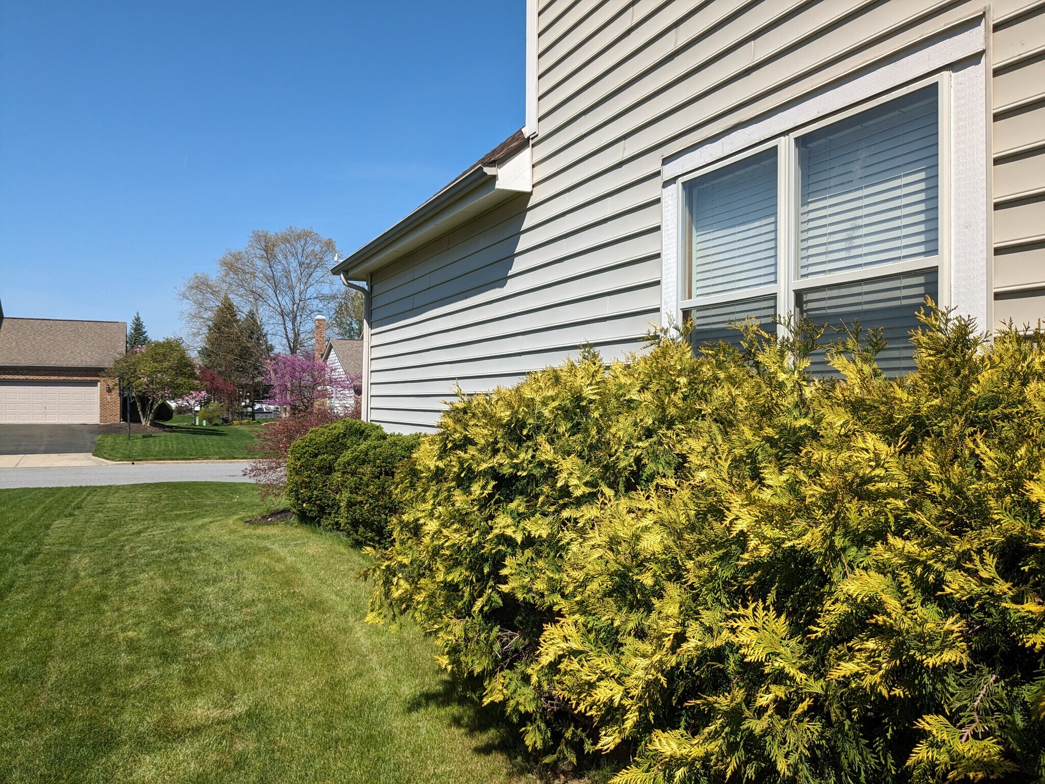 Building Photo - 9503 Wayne Brown Dr