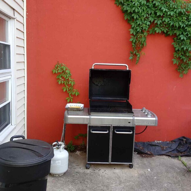 BACKYARD, MAIN FLOOR - 1834 Brandywine St