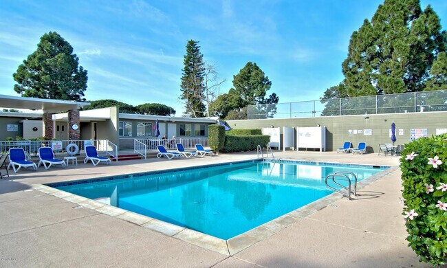Community swimming pool and spa - 81 W Fiesta Grn