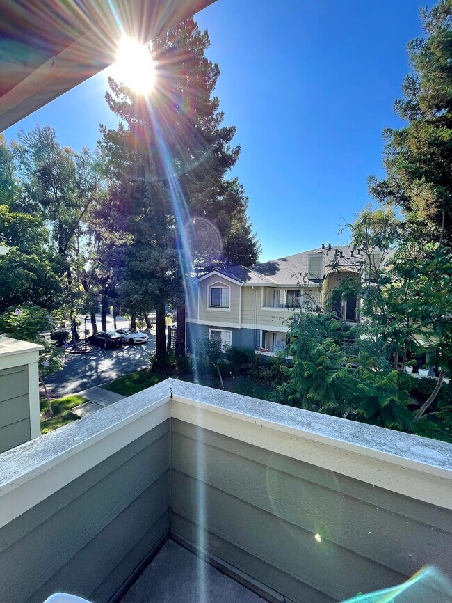 Building Photo - 2660 Somerset Park Cir