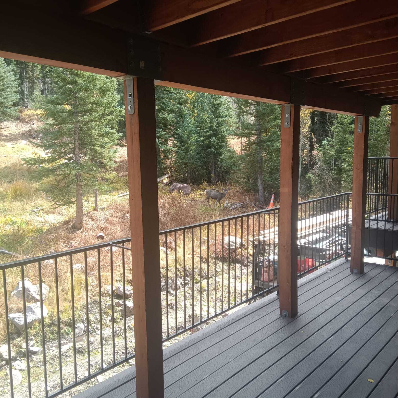 Building Photo - 651 S Snowflake Ln