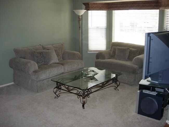 Living room - 10750 Spyglass Dr