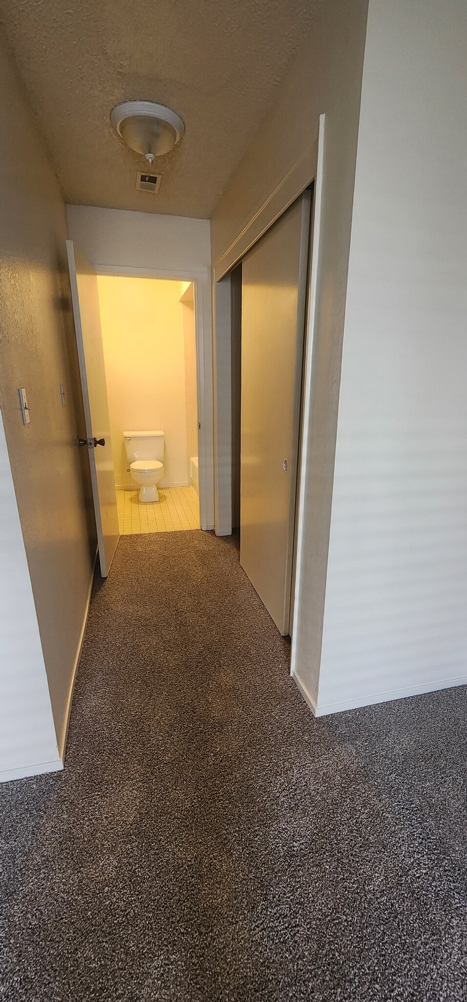 Bdrm 1 Closet and walkway to Bathroom - 5913 Auburn Oaks Dr
