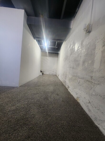 Basement hallway - 209 West Ave S