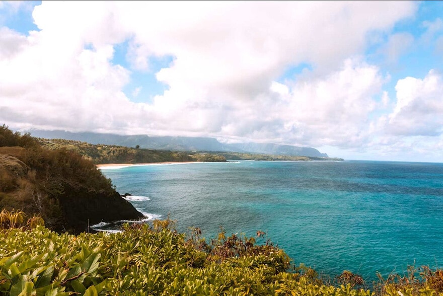 Building Photo - 525 Aleka Loop