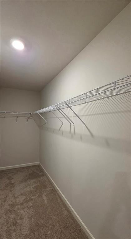Building Photo - 3370 Greyton Dr