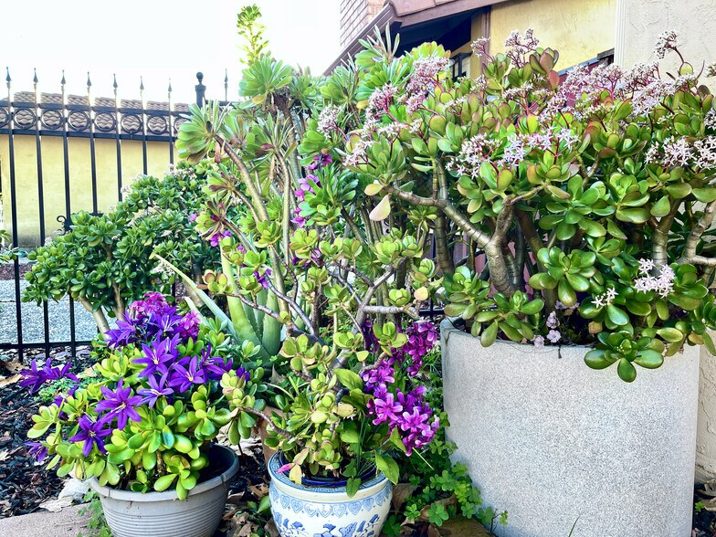 Building Photo - 2365 Fallingtree Dr