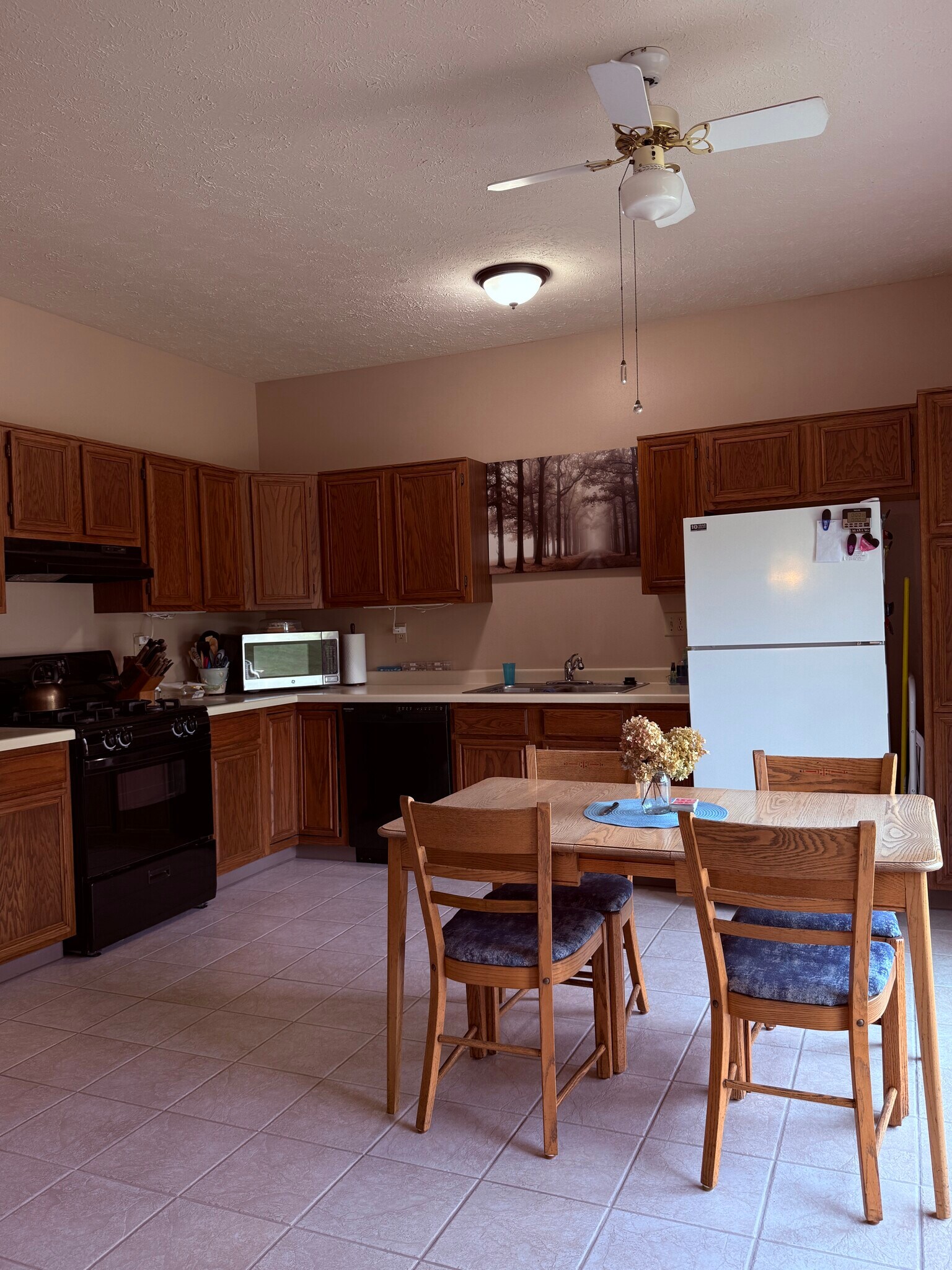 Building Photo - 204 Kirkstone Pl