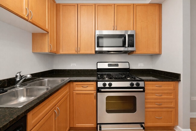 Building Photo - 1250 S Michigan Ave