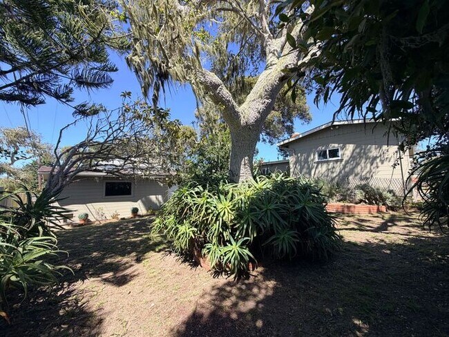Building Photo - 3 Bed and 3 Bath Home Located Off of Forest Ave