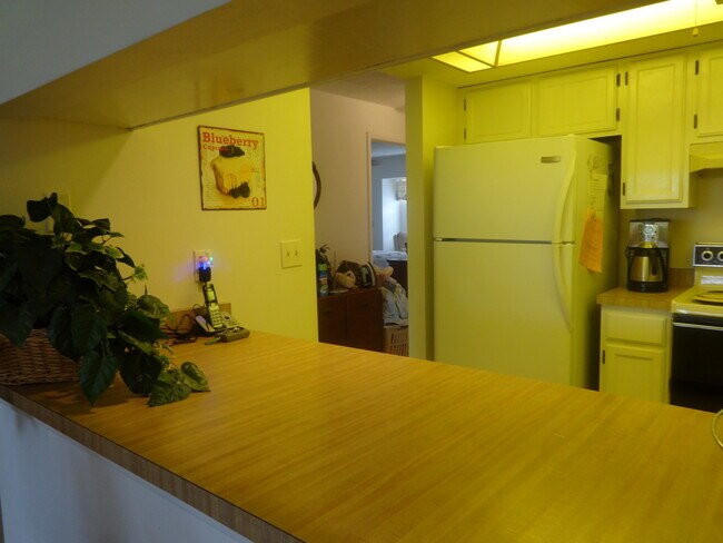 Building Photo - 1211 Capri Isles Blvd