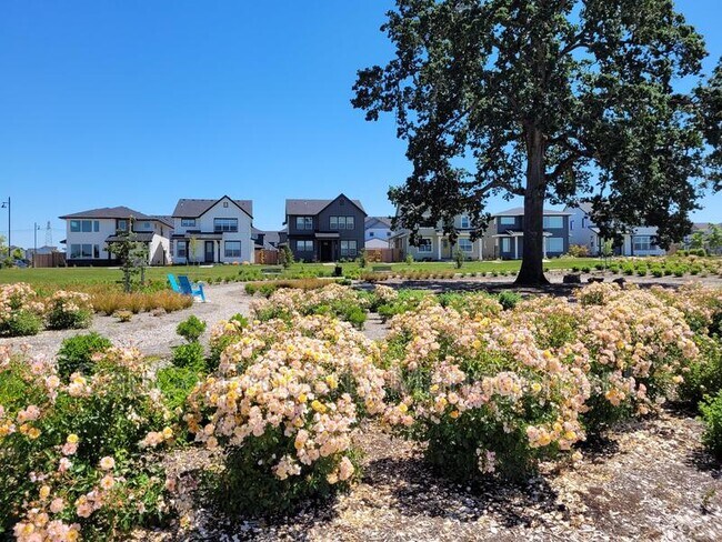 Building Photo - 3887 SE Muddy Ln