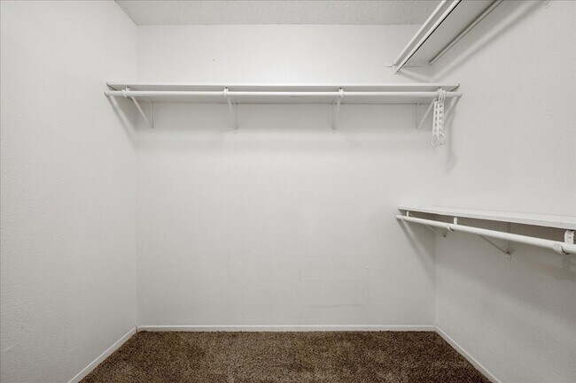 Building Photo - 9572 Windswept Ln