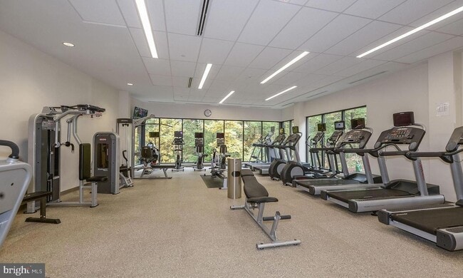 Building Photo - 5902 Mt Eagle Dr