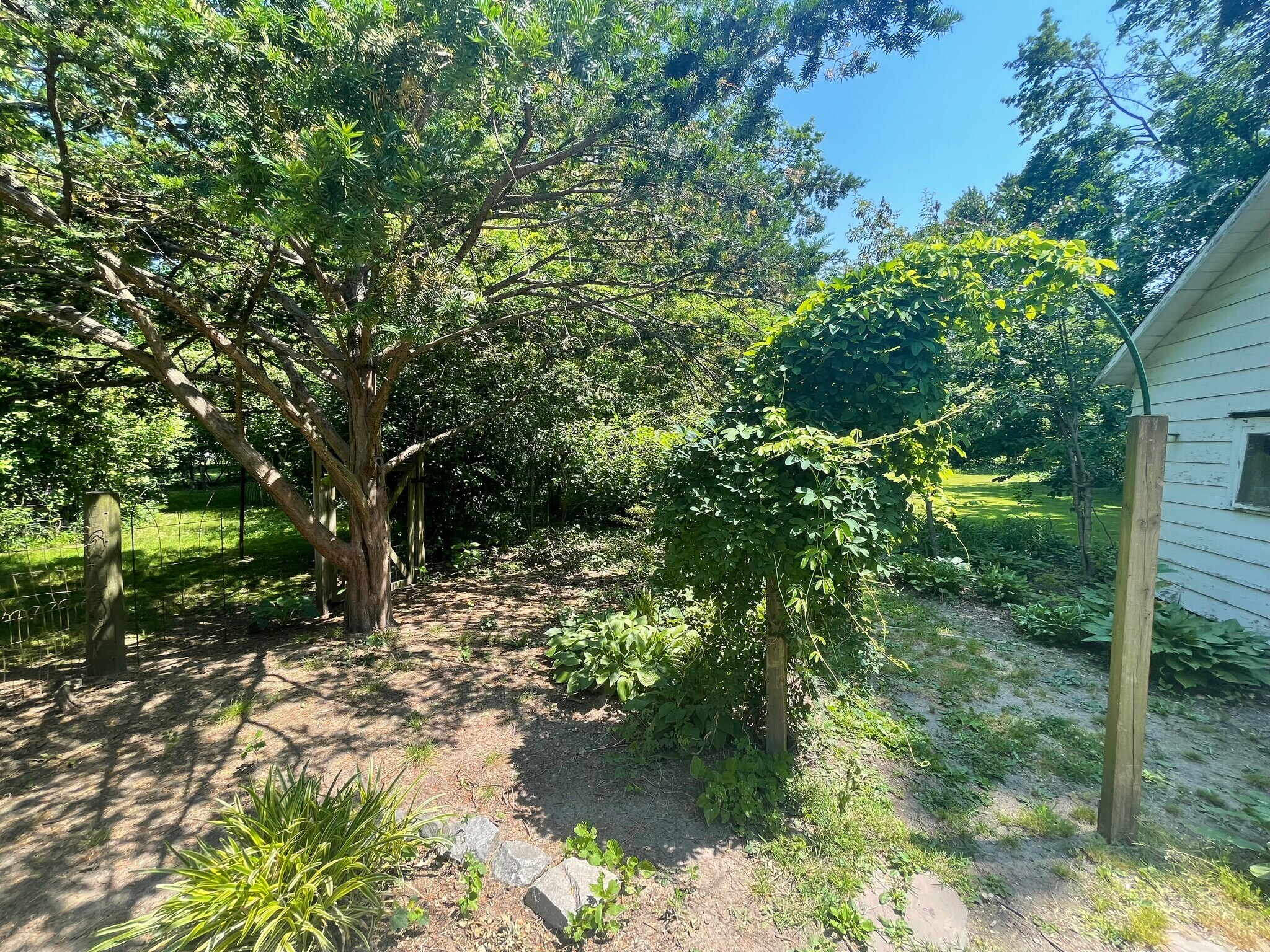 BackyardBackyard - 210 Mannion Ave