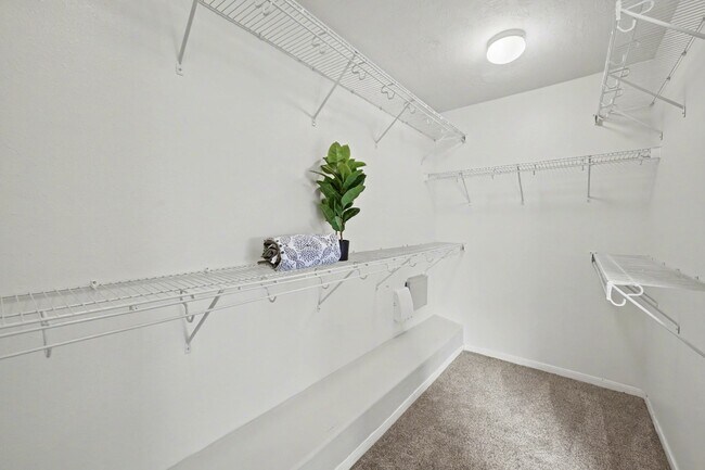 Building Photo - 10235 Mills Run Dr