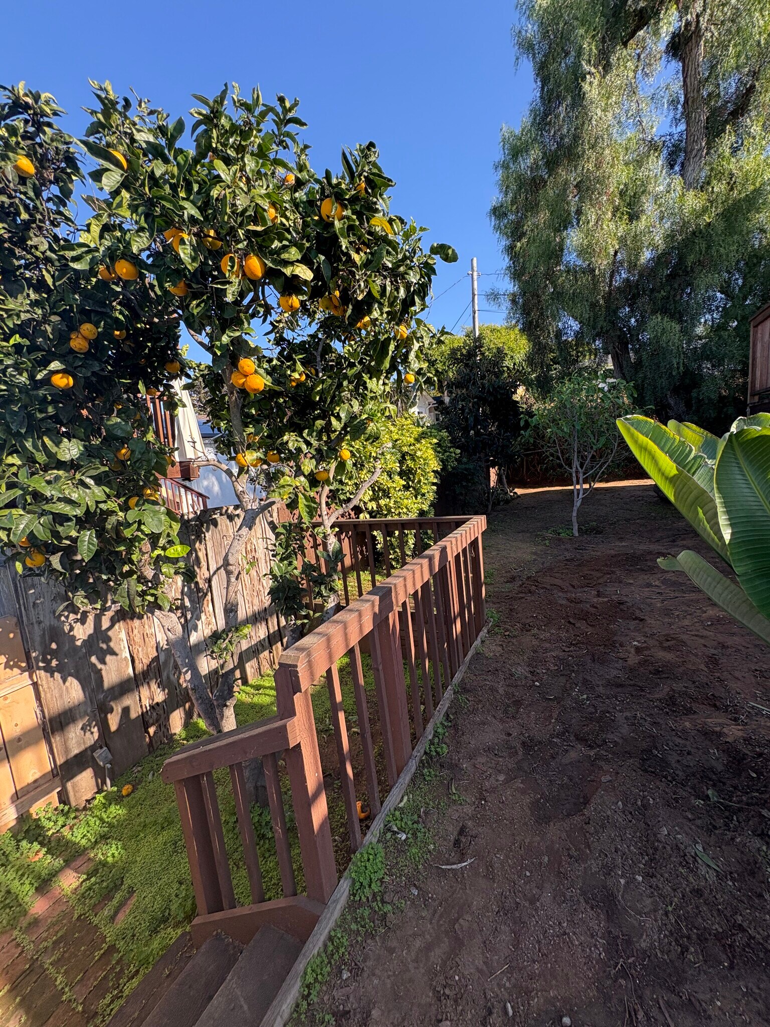 Building Photo - 4617 Del Monte Ave