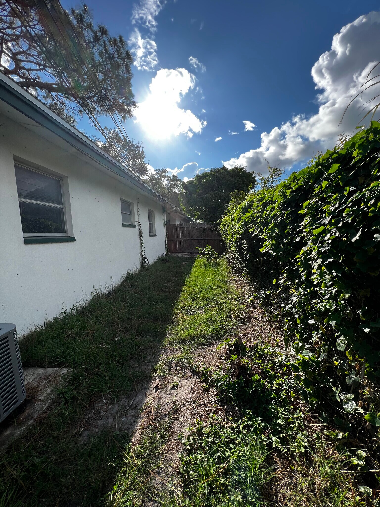 Building Photo - 254 Plumosa Dr