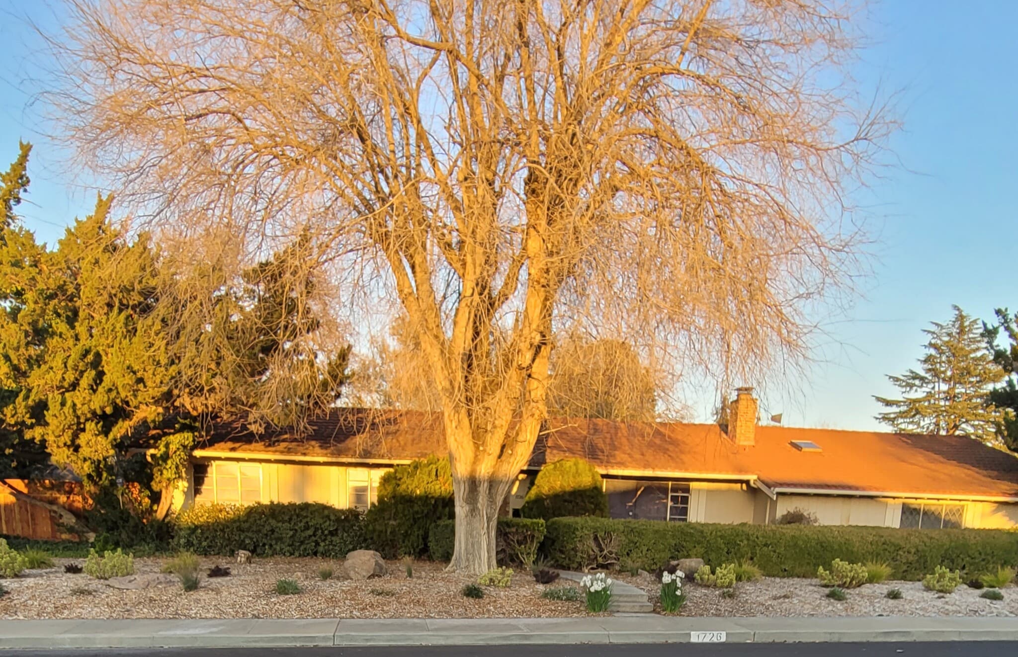 Building Photo - 1726 Crescent Dr