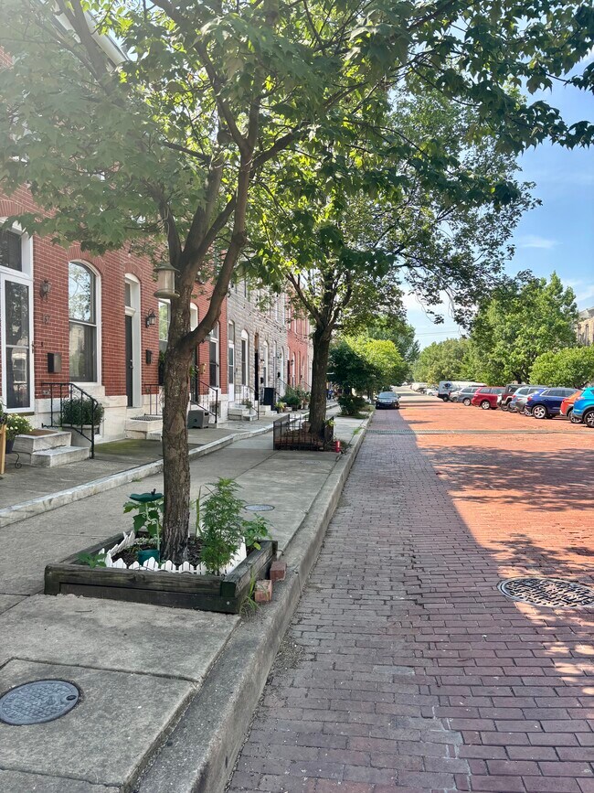 Building Photo - 143 N Kenwood Ave