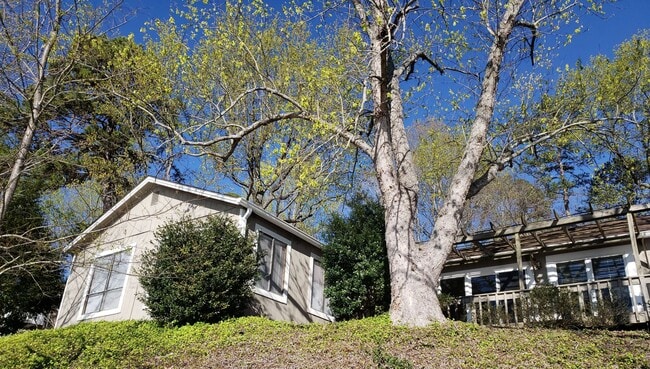 Building Photo - Enjoy Lakefront Luxury Year Round!