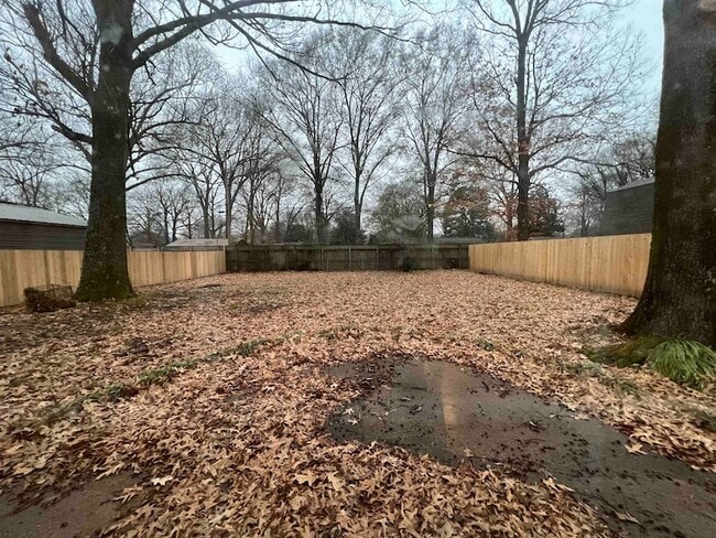 Building Photo - 1653 Colonial Rd