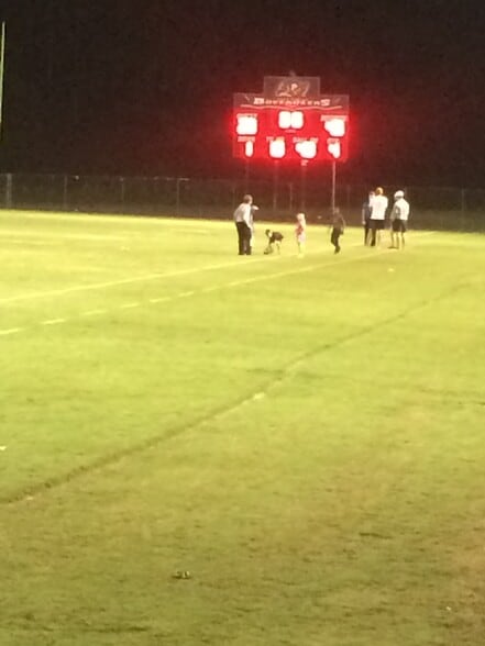 Building Photo - 713 Dauphin Island Pky