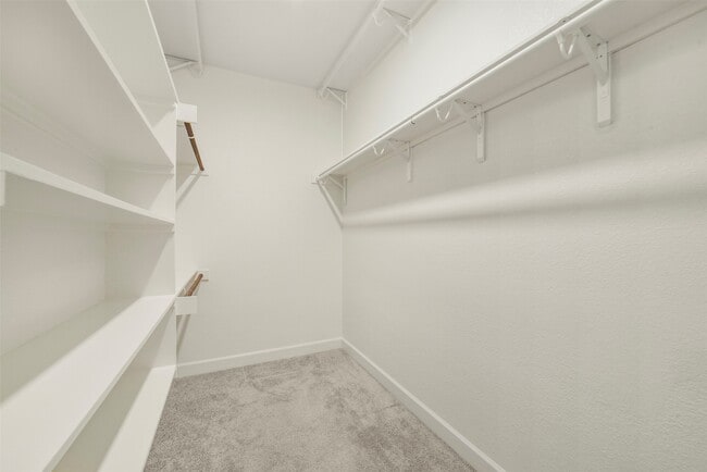 Building Photo - 14918 Mossycup Spur Wy