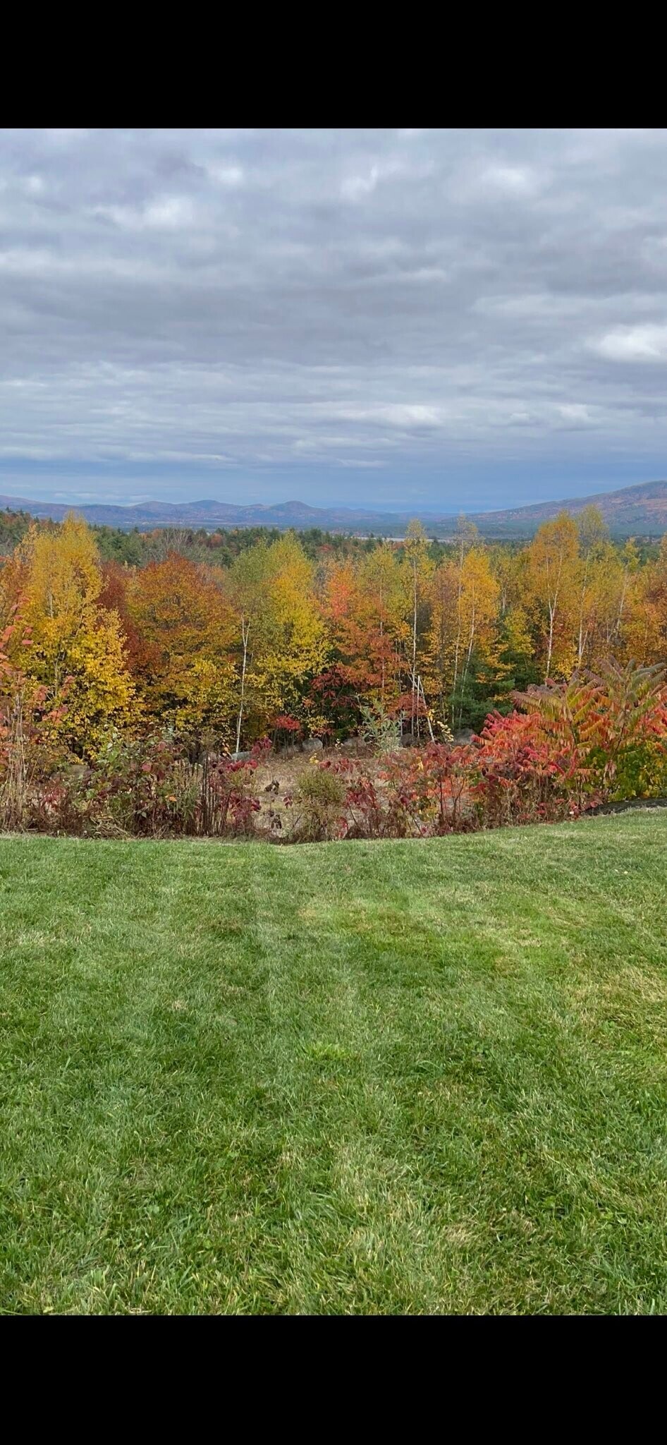 Building Photo - 14 Maplewood Rd