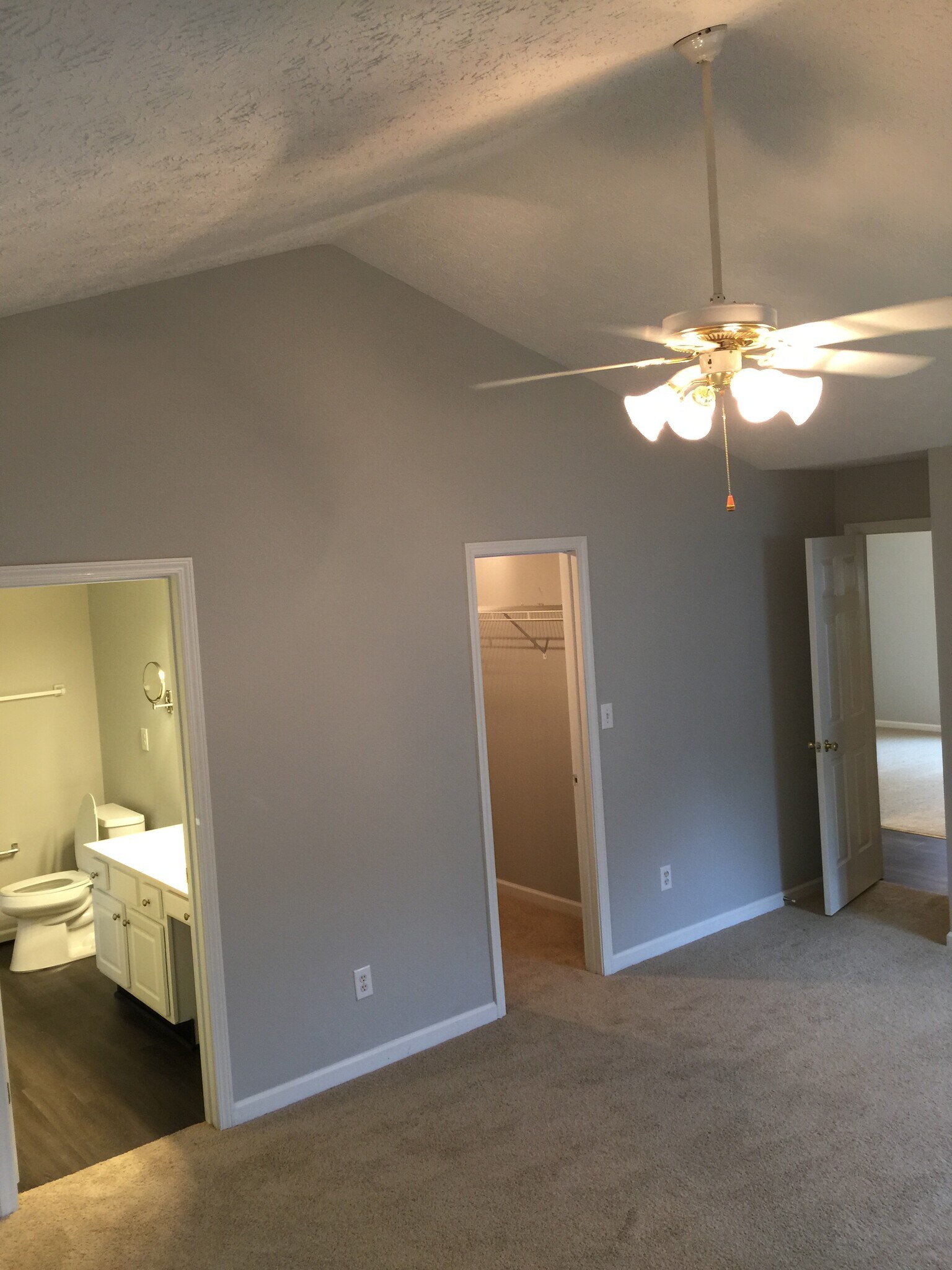 Another view of Master BR - 387 Ayelsbury Ct