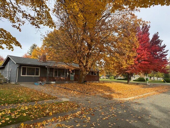 Primary Photo - Spacious Single-Story Home on Corner Lot
