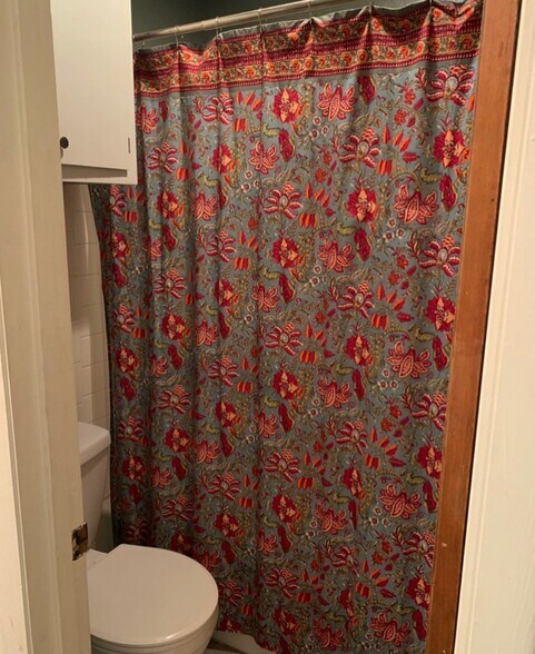 master bathroom shower - 8100 Red Willow Dr