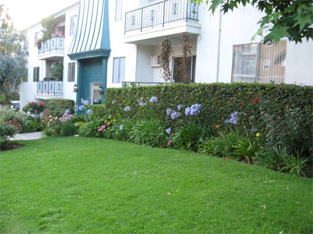 Building Photo - 11105 Rose Avenue