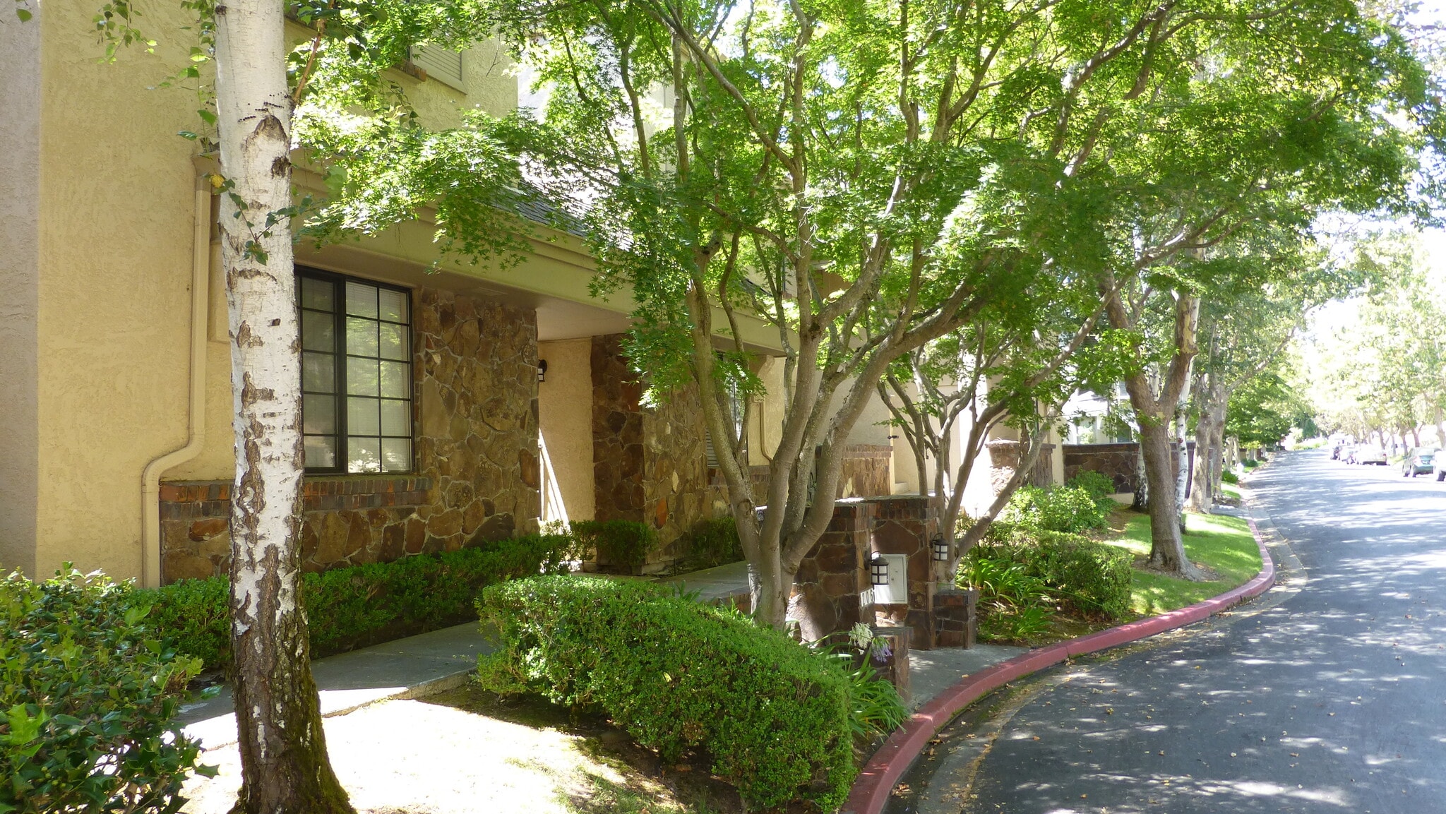 Building Photo - 206 Canyon Woods Way