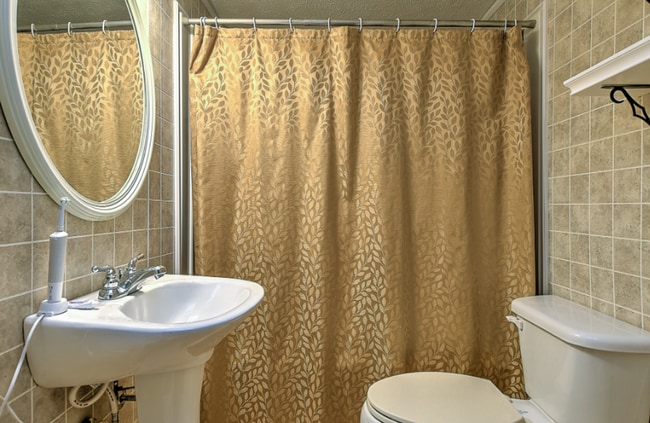 Building Photo - 4 bedroom 2 bath home! Tree Streets