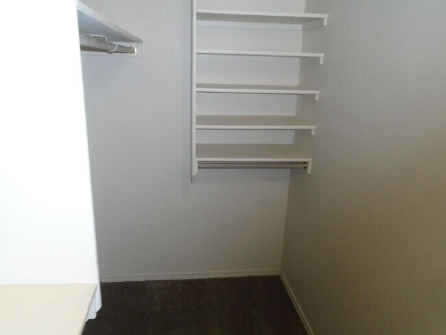 Building Photo - 3444 Stony Meadows Cir