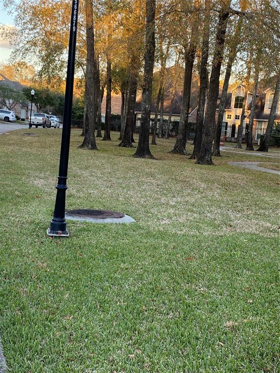 Building Photo - 12414 Timber Hollow