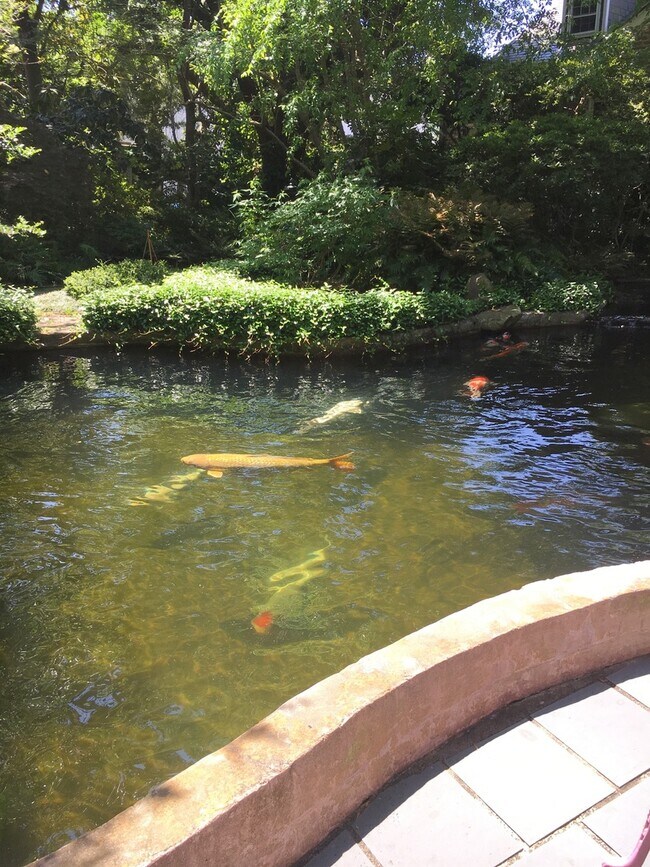 Building Photo - Charming Fully Furnished Garden CottageLlocated in South of Broad