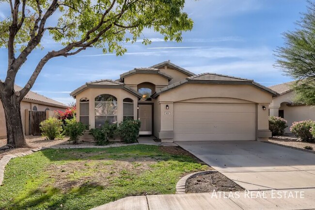 Primary Photo - Beautiful 3 bed 2 bath Home in Mesa !