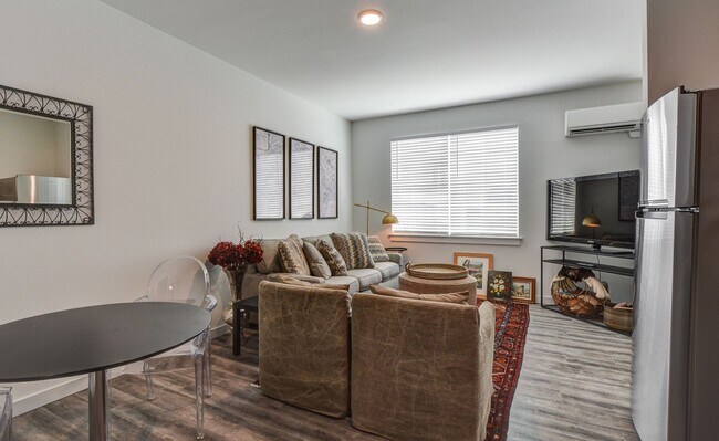 Interior Photo - ZAZU