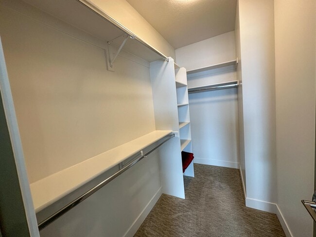 Building Photo - 4859 Bailey Ln