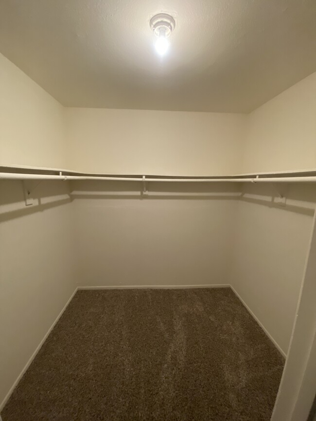 master walk-in closet - 19201 Coenson Cir