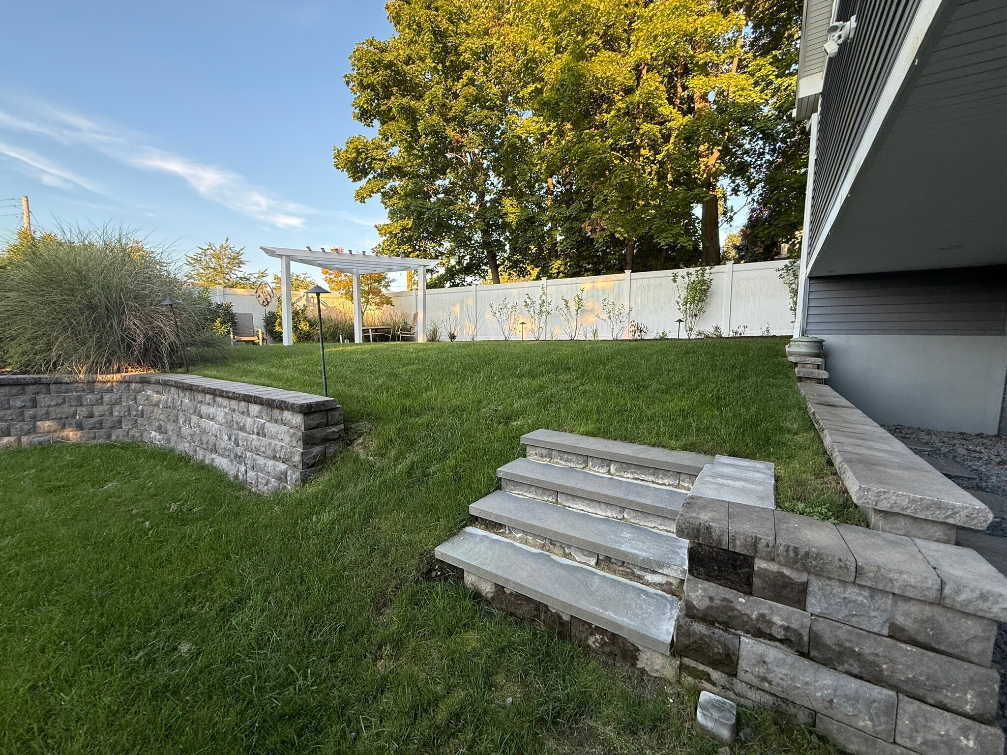 Upper back yard - 99 Roland St