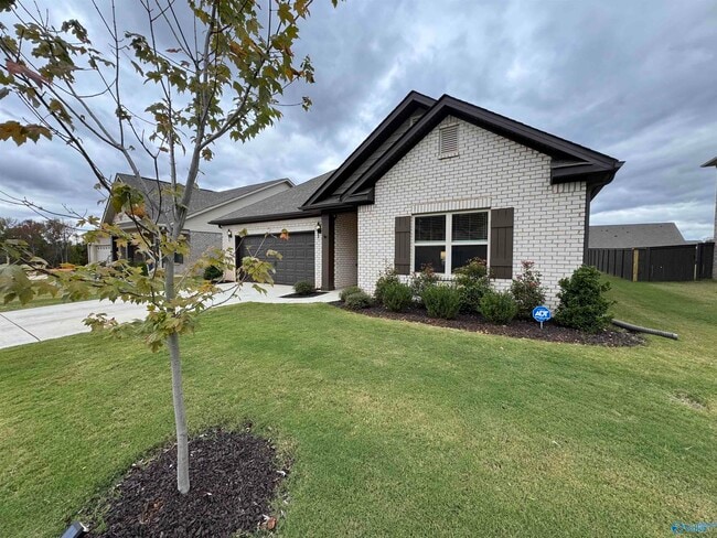 Primary Photo - 209 Saddle St