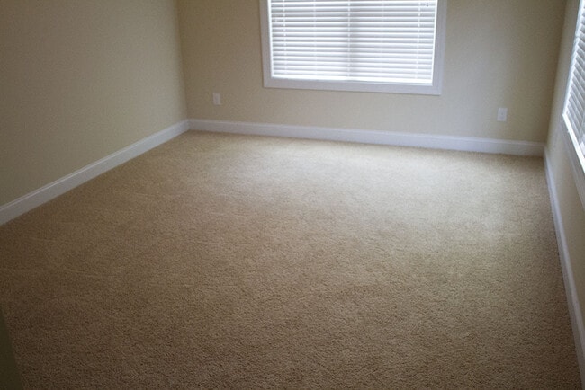 Building Photo - Spacious duplex on 9th St! Live in the heart of Old West Durham!