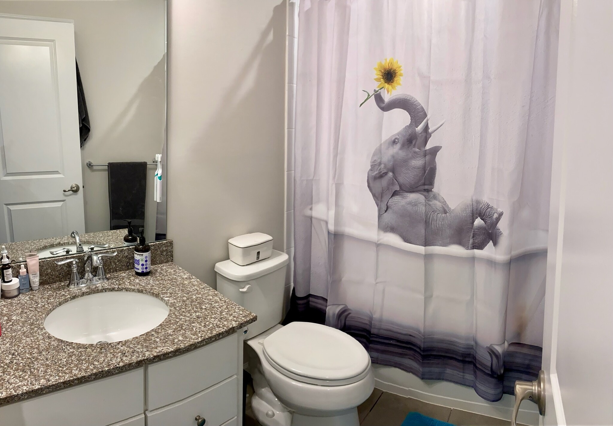 Upper floor full bathroom - 247 Madison Ln