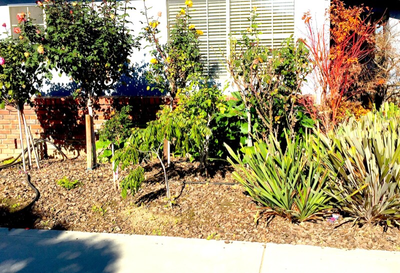 Building Photo - 1771 Meridian Ave