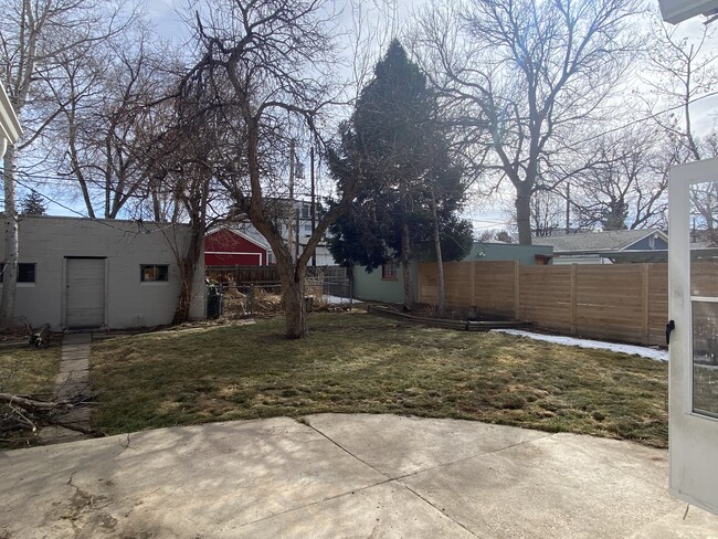 Backyard - 4470 Zenobia St